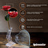 Anniversary for Her | Wife | Women – Engraved Wooden Gift Set with Crystal Engraved Heart | 24K Gold Dipped Rose